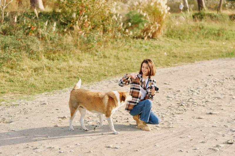 Dog and woman outdoors on a sunny trail, woman kneels to pet a friendly dog, casual plaid shirt, denim jeans, peaceful countryside setting along a dirt path