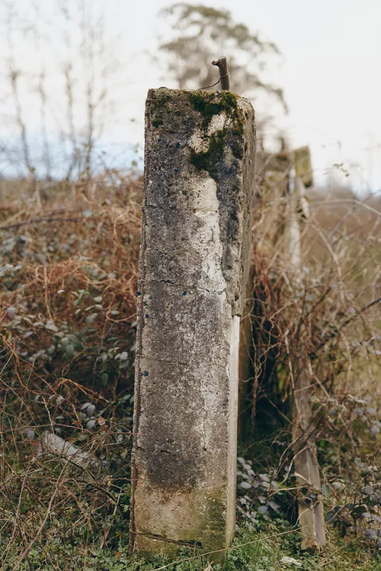 Weathered concrete post covered with moss stands in an outdoor rural landscape, dry grass and leafless trees in soft focus behind it, nature marker, calm lifestyle scene daylight