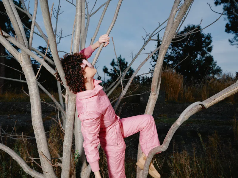 Climber in a pink outfit ascends a bare tree in an outdoor setting, capturing motion, balance and adventure among branches at dusk, with natural woodland surroundings and a tranquil sky.