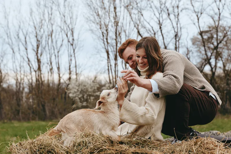 Playful couple outdoors with a curious goat kid, sharing a moment of affection, rustic textures, soft sweater, sunlit meadow, natural colors, candid lifestyle scene, trees in background, warm
