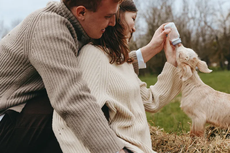 A couple crouches in a rural field, sharing a tender moment as they bottle feed a baby goat, expressing affection and calm joy while animals graze in the background.