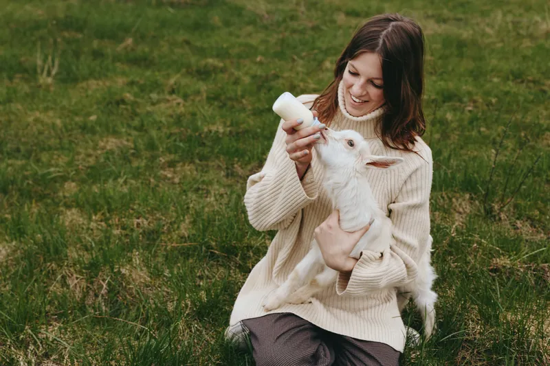 Young woman wearing a cozy sweater feeds a small white baby goat with a bottle while sitting on green grass in a natural outdoor setting during a lifestyle moment.