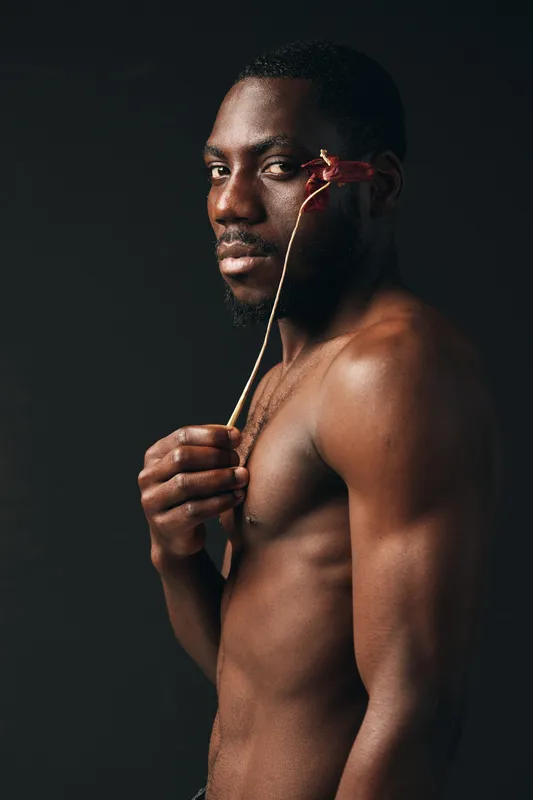 African man with dark skin holding dried flower near face in creative conceptual visual style. Portrait of shirtless male model with artistic expression on black background for beauty and art.