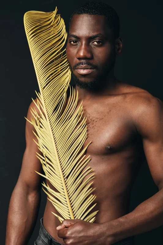 African man with dark skin holding large golden palm leaf in creative conceptual visual style, bare chest, studio portrait with dramatic lighting and artistic expression.