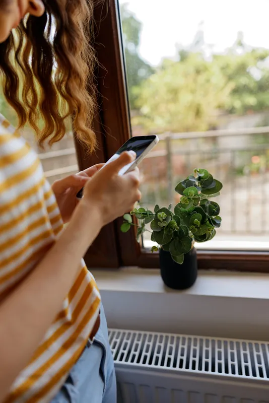 A young woman in a striped shirt uses her phone by a sunlit window, a small plant on the sill, creating a calm, focused moment at home.