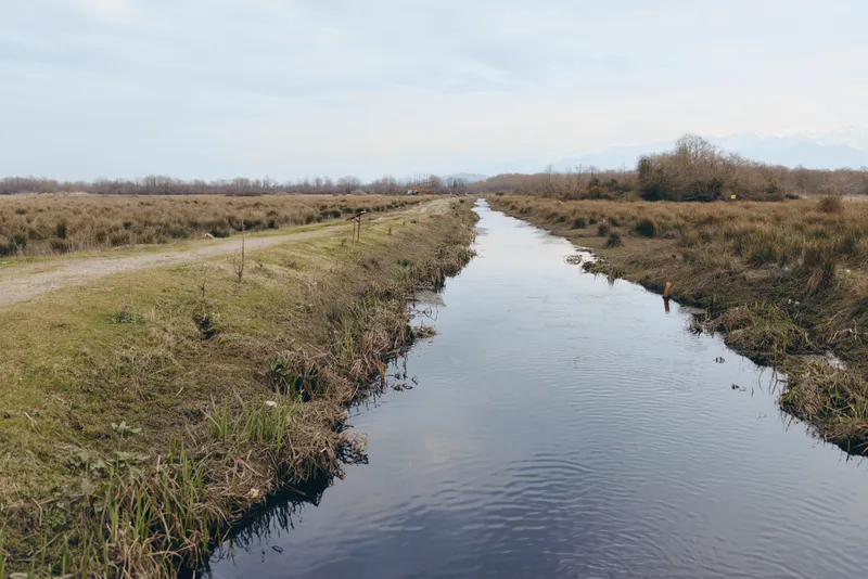 River canal through rural countryside, calm water with clear reflection, grassy banks and shrubs, wide landscape view under cloudy sky, soft light, nature outdoors lifestyle mood