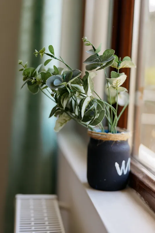 A potted plant sits on a windowsill indoors, leaves reach toward soft daylight, creating a calm, cozy home moment.