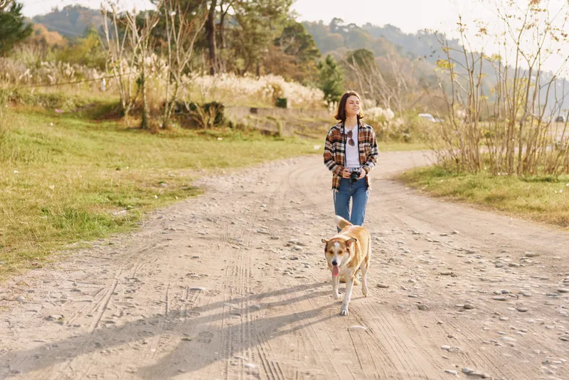 Woman walking a dog along a dirt path in a countryside setting, casual jacket, sunny day, open fields, calm outdoor scene with simple companionship on a nature stroll
