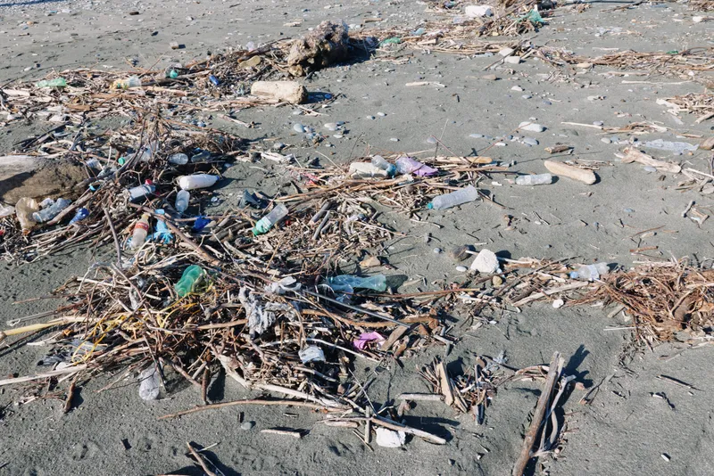 Litter and debris scattered on a sandy beach with plastic bottles, fragments of wood, and seaweed creating a polluted shoreline scene, highlighting environmental neglect and human impact
