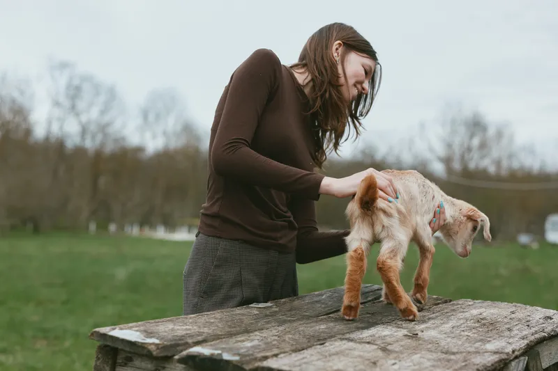 Woman crouches beside a goat kid on a weathered wooden table outdoors, gentle interaction in a green field, soft natural light, relaxed, casual mood, rural lifestyle moment, candid photography.