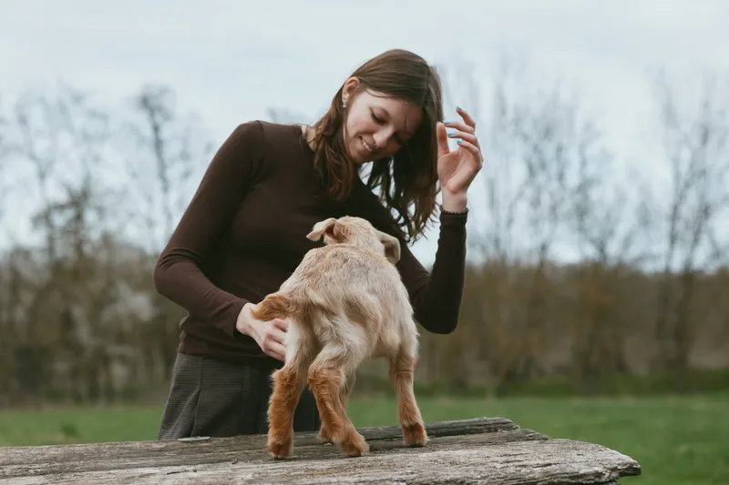 Cheerful woman outdoors shares gentle interaction with a goat kid, joyful friendship, animal bond, outdoors setting with countryside and natural light, wooden table backdrop, candid and playful moment