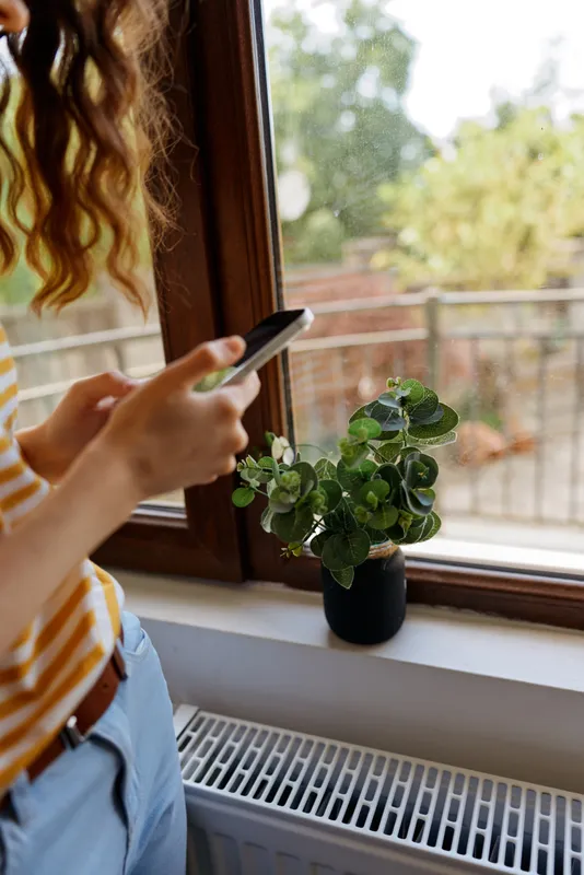A woman in casual clothing uses a smartphone by a sunny window, a potted plant on the sill creating a serene home moment. Concept for modern woman lifestyle at home.
