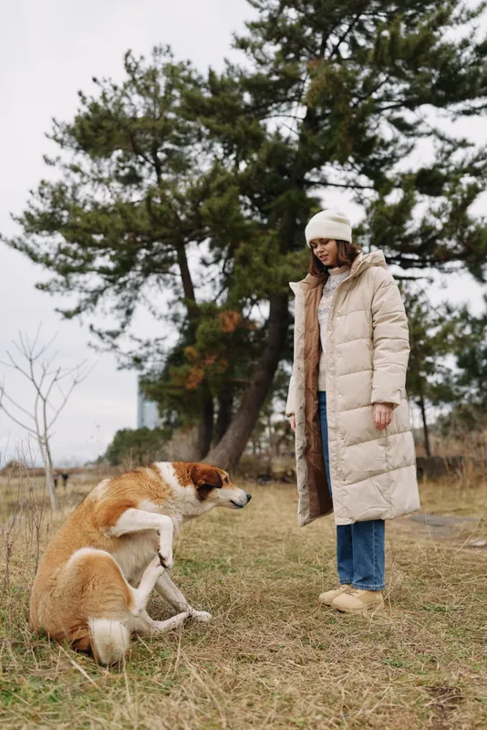 Person in a beige winter coat stands in a park with a sitting dog on grass, trees in the background, capturing calm outdoor companionship and a candid moment in nature