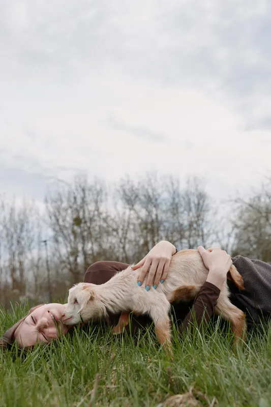 A woman lies on lush grass in an outdoor scene, gently embracing a goat kid, capturing a relaxed lifestyle moment of companionship, nature, and farm life.