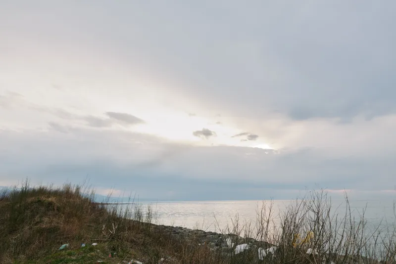 Calm sea landscape with cloudy sky and dry grass on hill in foreground. Quiet water and overcast weather create tranquil nature scene by the coast. Concept of peaceful environment and outdoors.
