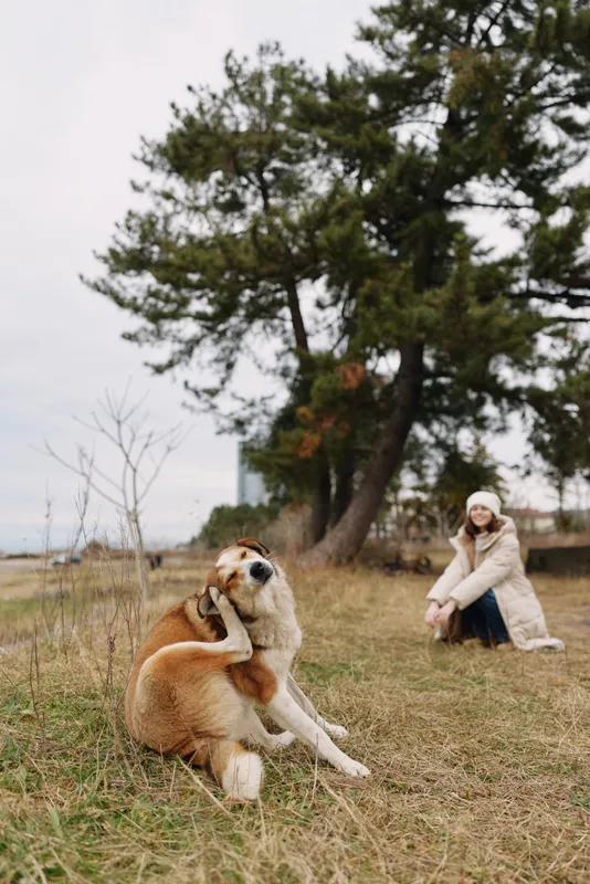 Dog and woman in a park outdoors, sitting on grass beneath tall trees, warm coat, relaxed pose, peaceful moment of companionship in nature.