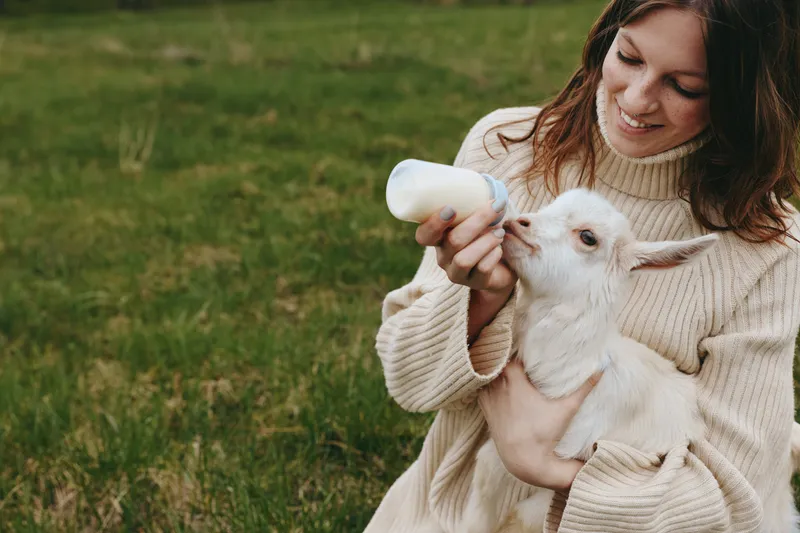 Smiling woman wearing a cozy sweater bottles a baby goat in a grassy field, a tender moment of feeding, care, and outdoor lifestyle, with nature calm and warm light, conveying affection and