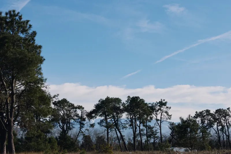Trees line the distant horizon under a clear blue sky, creating a peaceful outdoor landscape with natural light and expansive space for calm reflection and quiet exploration.