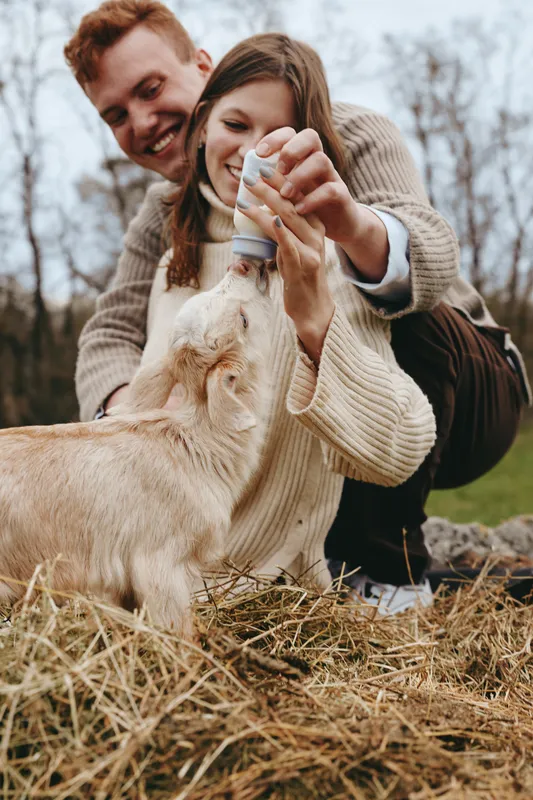Young couple feeds a baby goat from a bottle outdoors in autumn while enjoying a cozy moment in casual sweaters in a natural lifestyle setting with hay and bare trees.