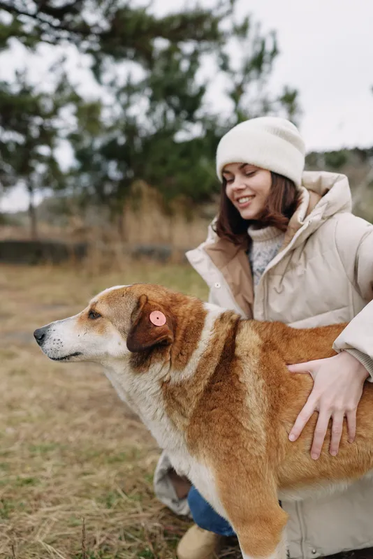 Woman in a warm coat and beanie outdoors with a friendly dog in a grassy field, sharing a tender moment of affection and companionship in a calm countryside setting