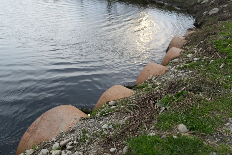 A quiet river with clear water by the rocky shoreline, grass and stones along the riverbank, sunlight reflections on ripples, outdoor nature landscape, calm lifestyle.