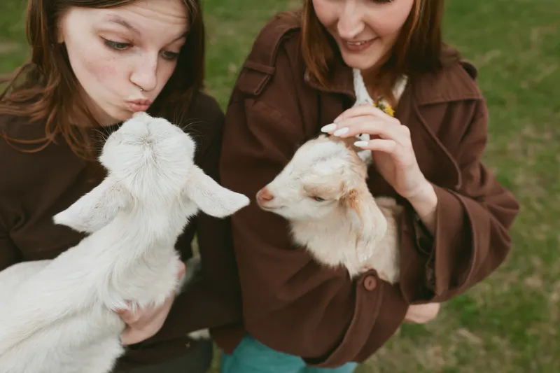 Two young women interact with playful kid goats outdoors, sharing a gentle moment in a rural, sunlit pasture setting. A candid lifestyle scene highlighting bonding with animals and simple joy.