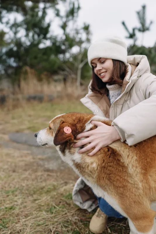 Woman in winter gear warmly pets a brown dog in an outdoor field, capturing a tender moment of companionship and canine affection in a tranquil countryside scene.