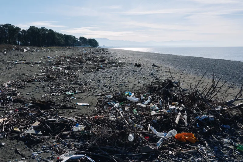 Beach litter and debris cover the shoreline with plastic bottles and waste, stretching toward a distant tree line under a cloudy sky, highlighting environmental pollution and the need for cleanup.