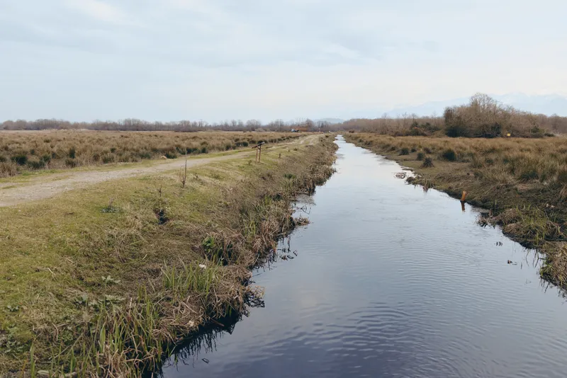 River landscape in rural countryside, calm water along the canal, grass banks and reeds create wetlands, quiet soft clouds on the horizon, nature outdoors, peaceful mood