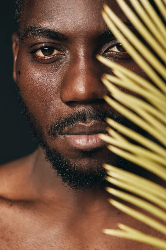 Closeup portrait of African man with dark skin and beard in creative visual design style, half face behind yellow palm leaf, studio lighting and black background.