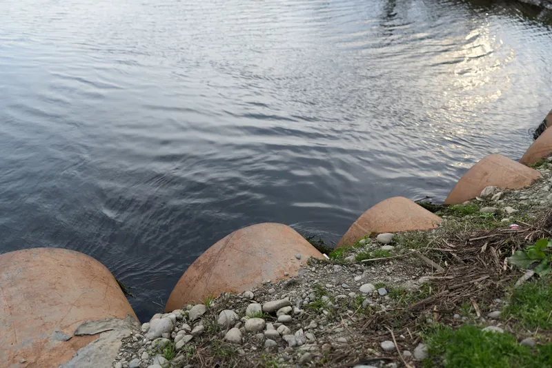 River water with rocks along the shoreline, sunlight glinting on ripples, calm nature outdoors, greenery and moss on the bank, serene summer landscape for travel and relaxation lifestyle