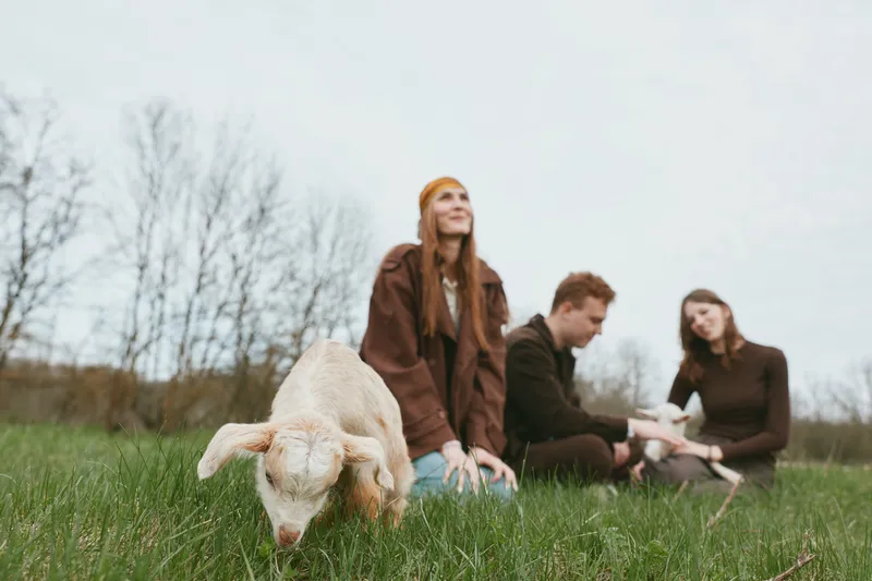 Friends sit on the grass in a rural field while a playful goat stands in the foreground, creating a relaxed lifestyle moment, casual clothing, natural light, warm atmosphere