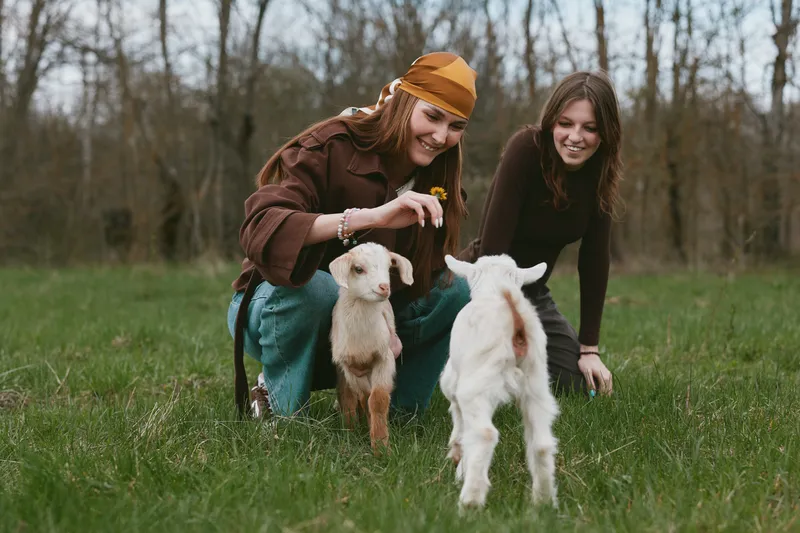 Two young women enjoy a playful moment with baby goats in a grassy field during a relaxed lifestyle outdoor activity in early spring.