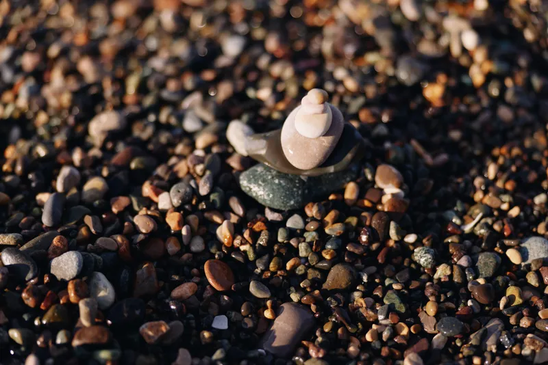Close up of a tiny shell resting on a bed of smooth pebbles and stones along the beach, highlighting texture, color and natural contrast in a tranquil seascape.