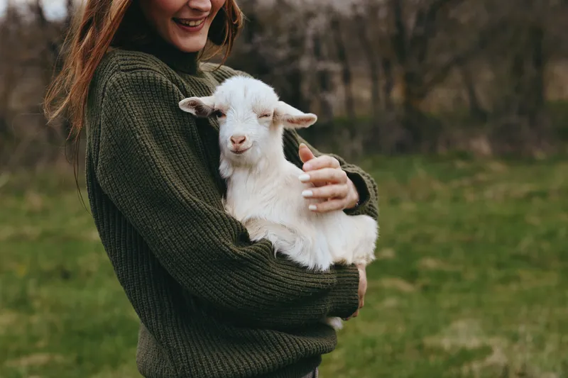 Smiling woman holds a gentle kid goat in a green field, showcasing a lifestyle moment outdoors. Focus on affection, nature, and care with soft lighting creating a warm, wholesome mood.