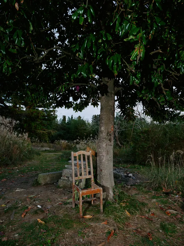 Chair beneath a leafy tree in an outdoors field countryside setting, weathered wooden seat resting on dirt and grass, sunlight filtering through branches, a simple rustic scene inviting solitude and
