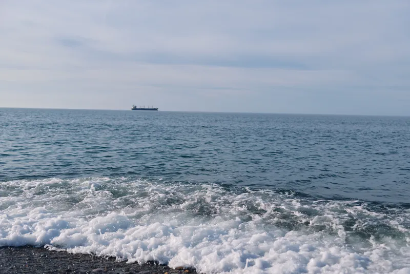 Sea view with waves crashing on a rocky shore and a distant ship on the horizon, a calm sky above, conveying oceanic stillness and coastal atmosphere