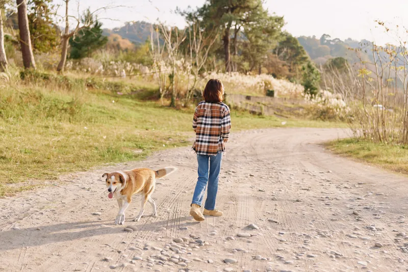 Dog and person walk along a dusty countryside path, open fields and distant trees, casual clothing, peaceful outdoor scene bathed in natural light and fresh air