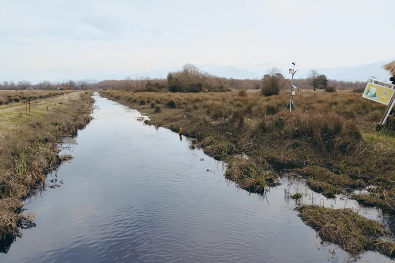 River landscape in countryside nature, calm water with grassy banks and reeds, distant mountains under pale sky, outdoor lifestyle travel, quiet rural scenery, wide frame, morning light