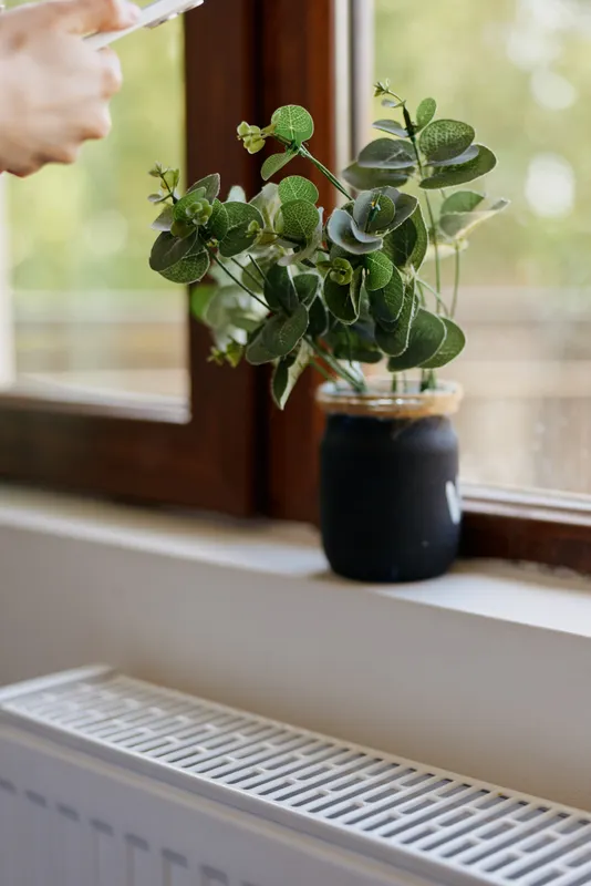 Leafy plant on a windowsill with a dark ceramic pot, sunlit room creating a calm home scene, ideal for lifestyle and interior decor photography, emphasizing everyday living and natural greenery