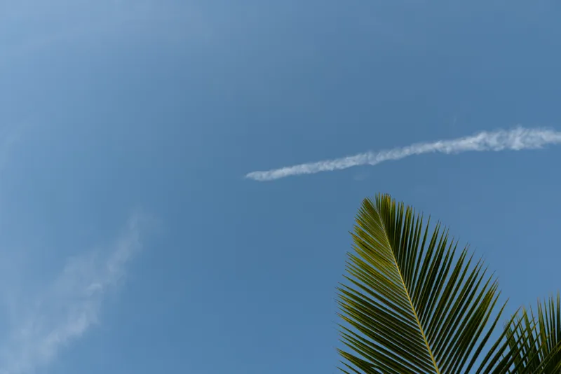 A clear blue sky features a single white vapor trail with a green palm leaf visible in the lower corner, capturing a peaceful tropical atmosphere under bright daylight.