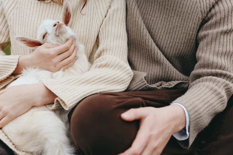 Warm lifestyle moment with a goat kid cradled in soft sweaters, two people smiling gently. It highlights care, companionship, rural living, and affection, with soft light creating a cozy, welcoming