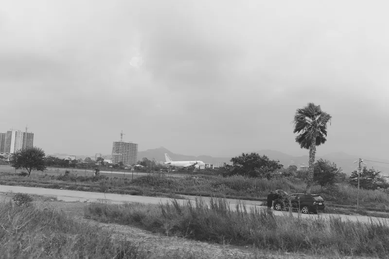 Desaturated landscape with open field and road, palm tree, distant buildings, and a parked vehicle, capturing a calm, expansive travel scene and quiet rural atmosphere
