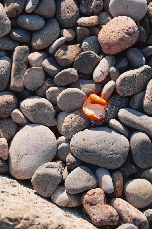 Closeup of smooth rounded pebbles on a beach, with an orange shell fragment adding contrast, showcasing natural texture and pattern on a rocky shore