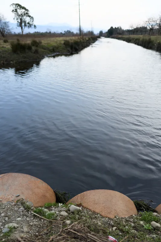 River landscape nature water rural outdoors calm ecology lifestyle environment, calm river with gentle ripples, rocky shoreline stones at the bank, sparse vegetation trees and meadow under overcast