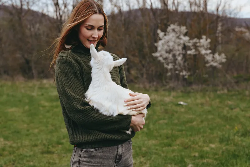 Young woman in a dark green sweater embraces a white goat kid in a sunlit field, showcasing countryside lifestyle, gentle affection, and harmony with animals.