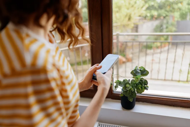 Woman in striped shirt sits by a window at home, using a smartphone, natural light fills the room, calm moment, indoor lifestyle scene with a small plant nearby, cozy, personal mood