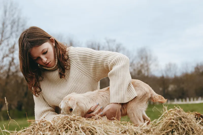 A woman in a cream knit sweater bends beside hay, gently guiding a young goat kid in a sunny outdoor farm scene. A candid lifestyle moment of animal care and bonding.