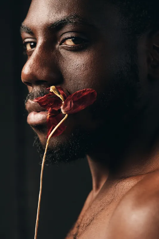 African man with dark skin holding dried red flower near face in creative conceptual visual style. Closeup portrait with artistic expression and natural light on bare shoulder.