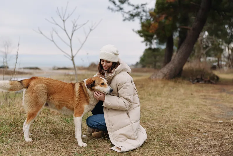 Dog and woman outdoors in a winter park, kneeling beside a friendly companion with a warm coat, sharing affection and companionship amid bare trees and grassy ground.